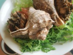 -恬阿姨庭院餐厅·生日宴
