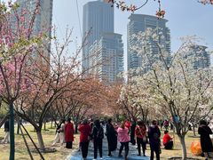 -西北湖绿化广场
