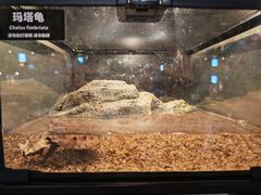 -太平洋海底世界