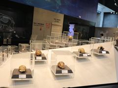 -北京周口店北京人遗址博物馆