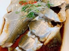 -几荷·恰似故人来(秀水广场店)