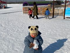 -绿野森林乐园冰雪季