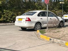 -光明驾校·学车·陪驾(杨浦店)