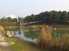 景点-美兰湖景区