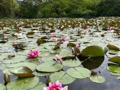 -白马涧龙池景区