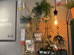 -宜家家居(哈尔滨商场店)