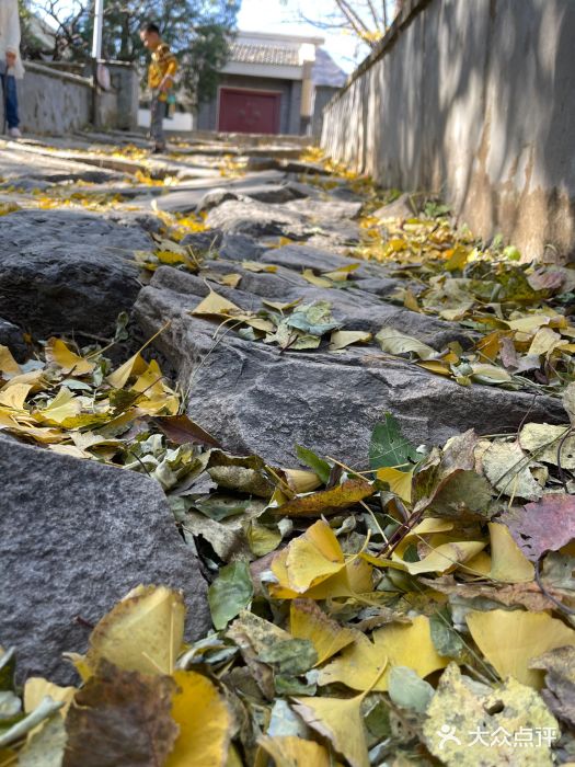 阳台山自然风景区图片