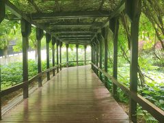 -大连植物园