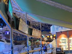 -海合安青岛极地海洋公园
