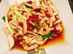 -丝恋丝娃娃(逸天城国贸店)