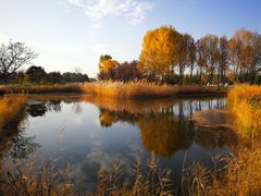 -安德鲁户外烧烤帐篷营地(马泉营店)