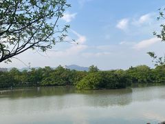-江心屿景区