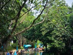 景点-人民公园(罗湖区)