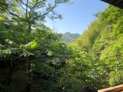 -藏龙百瀑风景区