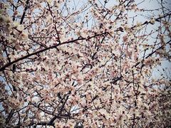 -唐城墙遗址公园