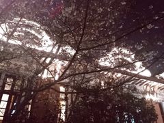 -上海交通大学医学院附属瑞金医院(总院)