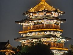 -阿拉丁新疆风味餐厅·清真(罗廊巷店)