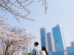 -西北湖绿化广场