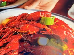 -杨氏青龙虾·羊蝎子(托乐嘉店)