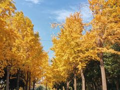 -苏州河梦清园环保主题公园