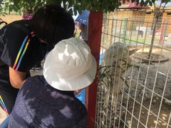 -武汉紫薇都市田园