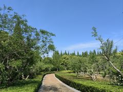 -同里国家湿地公园