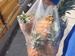 -蒲河大集