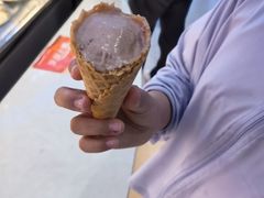 -野人先生Gelato(上海长宁龙之梦店)