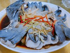 -煲来饱去冷水鱼