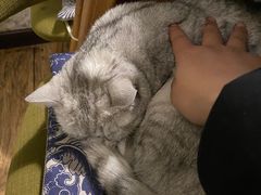 -不舍昼夜咖啡馆