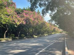 -广州莲花山旅游区