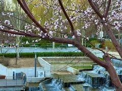 -东坝千亩湖公园