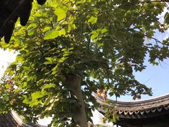 -钱穆钱伟长故居