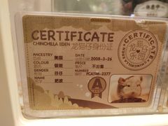 -龙猫仔乐园(惠福东路店)