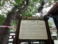 -泸定桥景区