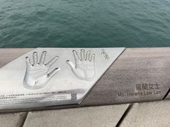 -星光大道