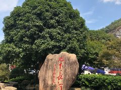 -兰溪地下长河