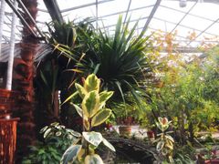 -呀路古热带植物园