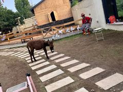 -HERRE·FARM 赫尔露营农场·团建聚会包场