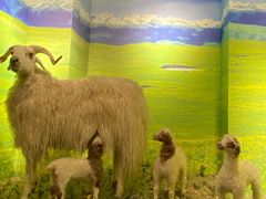 -清真·益鑫羊肉手抓馆(花园北街店)