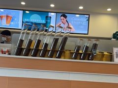 -雾与山茶(大禹城店)