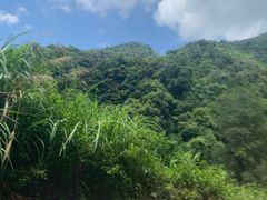 -龙颈河漂流