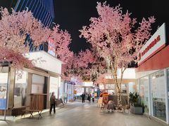 -首开·龙湖成都西宸天街