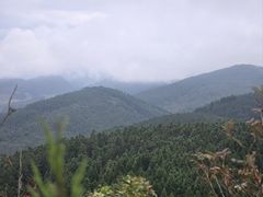 -武陵山森林公园