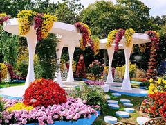 -上海共青森林公园