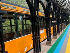 -合肥滨湖国家森林公园