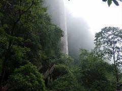 android_upload_pic-碧峰峡风景区