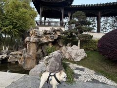 -苏州阳澄半岛英迪格酒店