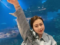 -海棠湾洲际-涛·海底餐厅·美人鱼·自助餐·海底隧道