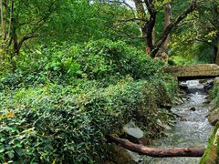 -雨花胜境